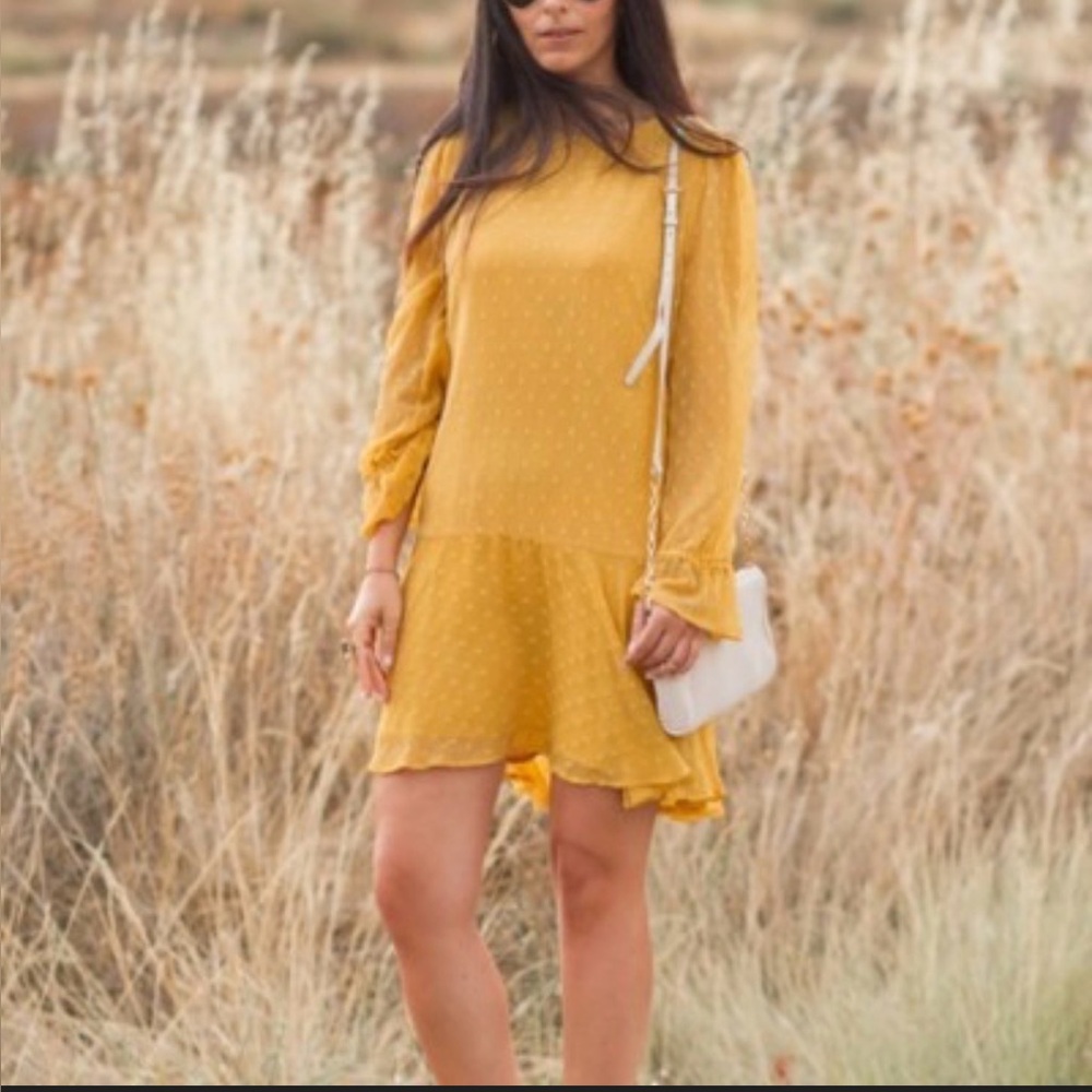 205 Zara Mustard Yellow Plumetis Dress  Medium